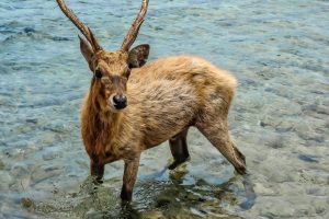 WhatsApp Image 2026-02-13 at 15.39.56 WhatsApp Image 2026-02-13 at 15.39.56