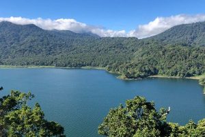 WhatsApp Image 2026-02-13 at 15.40.01 WhatsApp Image 2026-02-13 at 15.40.01