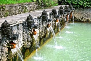 WhatsApp Image 2026-02-13 at 15.40.03 (1) WhatsApp Image 2026-02-13 at 15.40.03 (1)