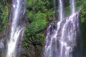 WhatsApp Image 2026-02-13 at 15.40.04 (2) WhatsApp Image 2026-02-13 at 15.40.04 (2)