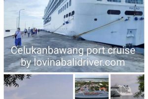 WhatsApp Image 2026-02-13 at 15.40.08 (1) WhatsApp Image 2026-02-13 at 15.40.08 (1)