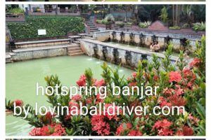 WhatsApp Image 2026-02-13 at 15.40.08 WhatsApp Image 2026-02-13 at 15.40.08