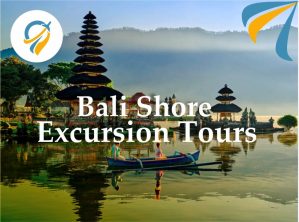 WhatsApp Image 2026-02-14 at 14.51.05